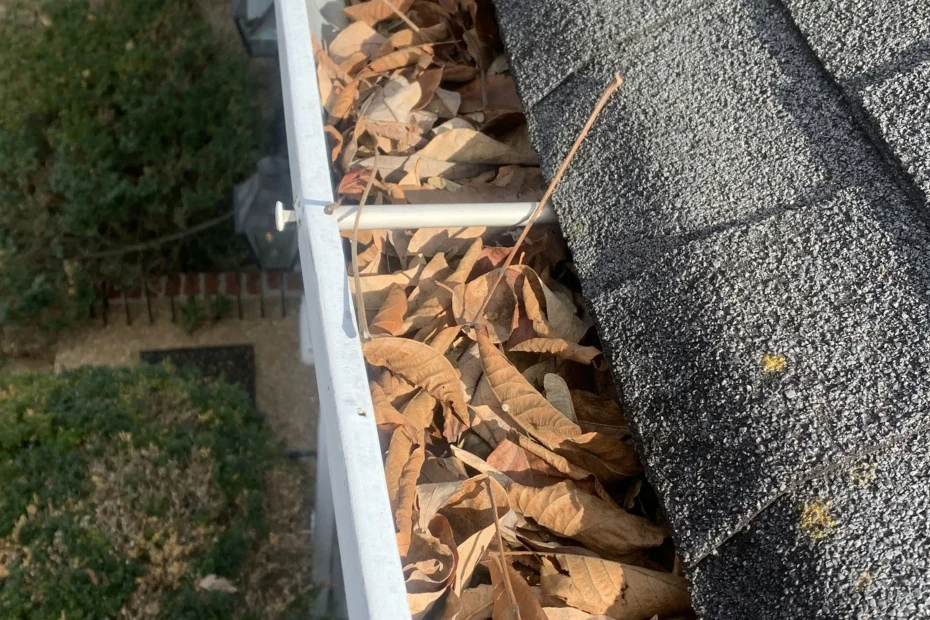 Gutter Cleaning Garden City SC